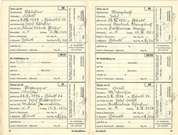 Ahnenpass Irimbert Patscheider Seite 18 und 19