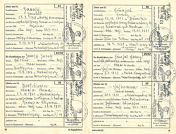 Ahnenpass Irimbert Patscheider Page 21