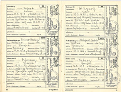 Ahnenpass Irimbert Patscheider Seite 22