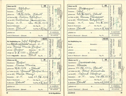 "Ahnenpass" Irimbert Patscheider page 18 and 19