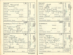 Ahnenpass Irimbert Patscheider page 30