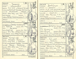 Ahnenpass Irimbert Patscheider