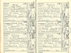 Click on the photo to enlarge it "Ahnenpass" (ancestry certificate) Irimbert Patscheider page 36