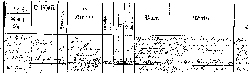 Church record Losenstein