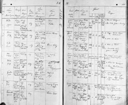 Heiratsbucheintrag Gabriel PATSCHEIDER (Eisenbahnarbeiter) und Barbara BOSSER