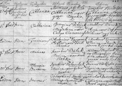 Klicken Sie auf das Foto um es zu vergrößern Kirchenbuchsammlung Nordmähren, Seite 117