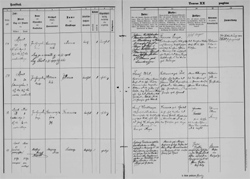 Click on the photo to enlarge Church record Sierning